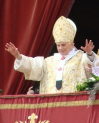 bxvi7