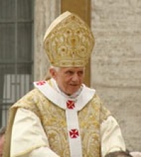 bxvi6